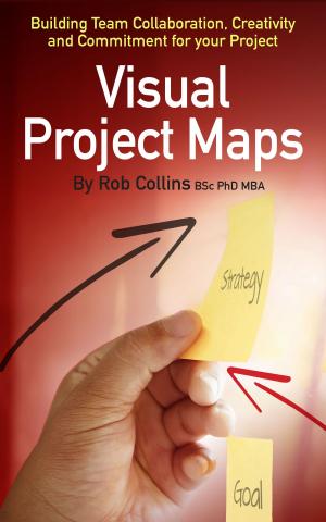 Cover of the book Visual Project Maps by Jim Kukral