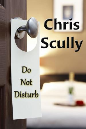 Cover of the book Do Not Disturb by Sarah D. O'Bryan