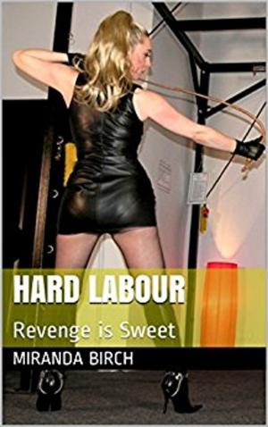 Cover of the book Hard Labour by S. M. Y. Rafi