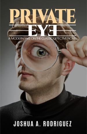 Cover of the book Private Eye by Ron D. Voigts
