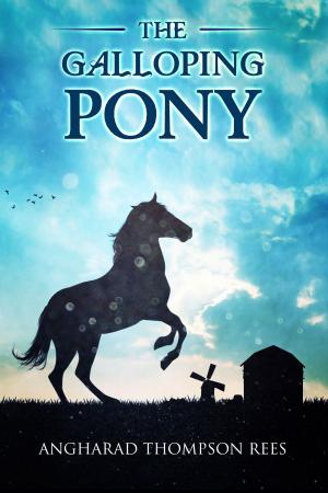 Book cover of The Galloping Pony