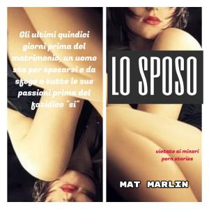 Cover of the book lo sposo (porn stories) by J.F. Kaufmann