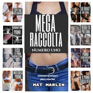 Cover of Mega raccolta numero uno (porn stories)