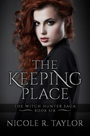 Cover of the book The Keeping Place by Eve Silver