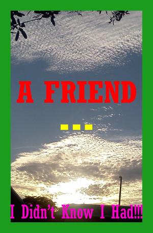 Cover of the book A Friend I Didn't Know I Had... by Patricia Norman Rachal