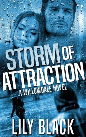 Cover of the book Storm of Attraction by Elizabeth Corrigan