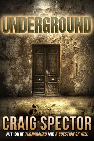 Cover of the book Underground by David J. Schow