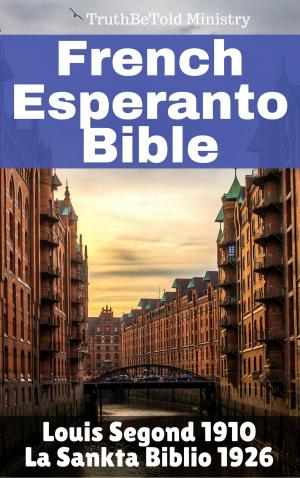 Cover of the book Français Esperanto Bible by Robert Louis Stevenson