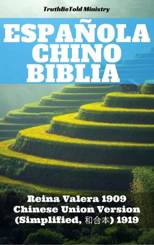 Cover of the book Española Chino Biblia by Havasréti József