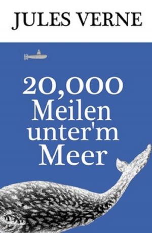 Cover of the book 20,000 Meilen unter’m Meer by Washington Irving