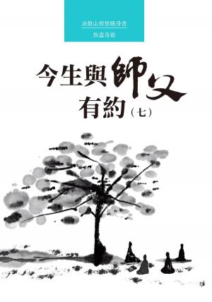 Cover of the book 今生與師父有約（七） by Sébastien Guillet