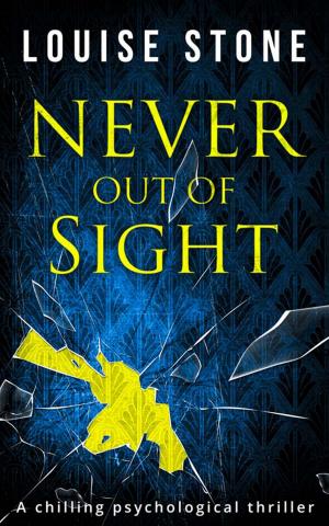 Cover of the book Never Out of Sight by Chris Simon