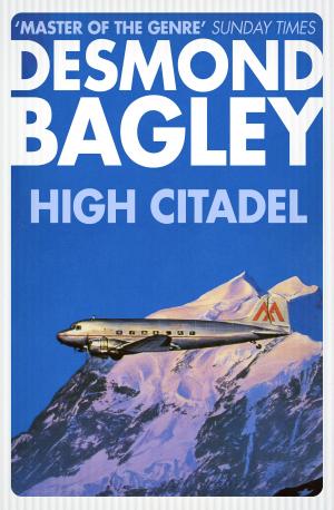 Cover of the book High Citadel by Joseph Polansky
