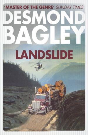 Cover of the book Landslide by Lucy Salisbury