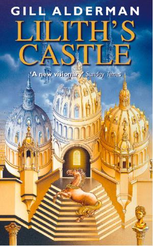 Cover of the book Lilith’s Castle by Neil Somerville