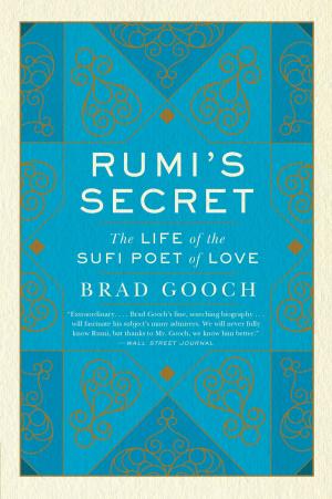 Book cover of Rumi's Secret