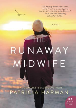 Cover of the book The Runaway Midwife by Katherine Webb