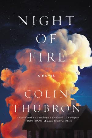 Cover of the book Night of Fire by Louise Erdrich