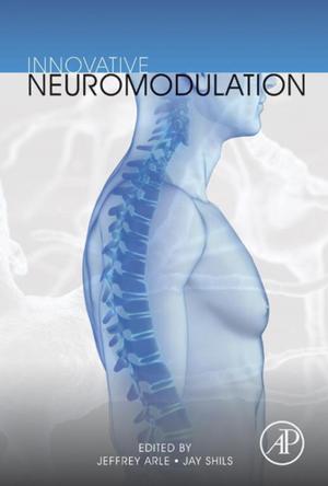Cover of the book Innovative Neuromodulation by Awanish Kumar