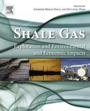 Cover of the book Shale Gas by Thomas W. Cusick, Pantelimon Stanica