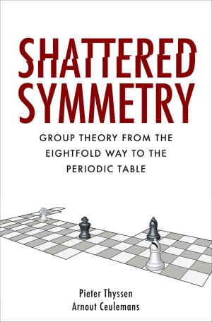Cover of the book Shattered Symmetry by Harris Feinsod