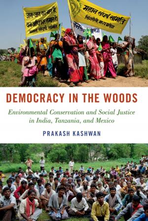 Cover of the book Democracy in the Woods by John Dunning