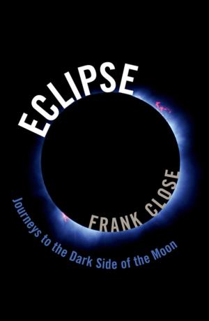 Cover of the book Eclipse — Journeys to the Dark Side of the Moon by Jennifer M. Gidley