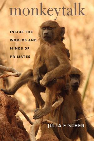 Cover of the book Monkeytalk by Kristine Stiles