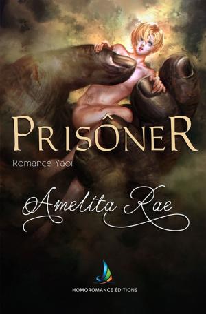 Cover of the book Prisonnier (Romance Gay) by Mélina Dicci