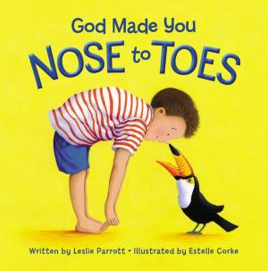 Book cover of God Made You Nose to Toes