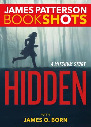 Cover of the book Hidden by Richard Lange