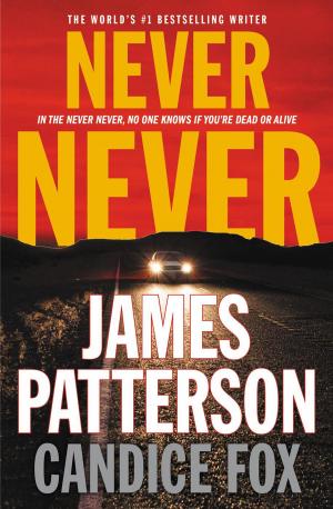 Cover of the book Never Never by Michael Kilian