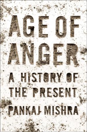 Cover of the book Age of Anger by Yehuda Amichai
