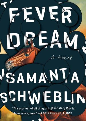 Cover of the book Fever Dream by Allison Samuels