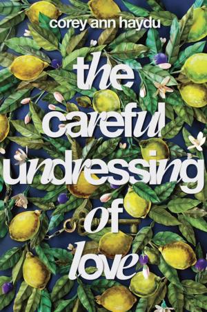Cover of the book The Careful Undressing of Love by Dori Hillestad Butler