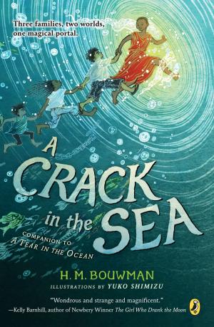 Cover of the book A Crack in the Sea by David A. Adler