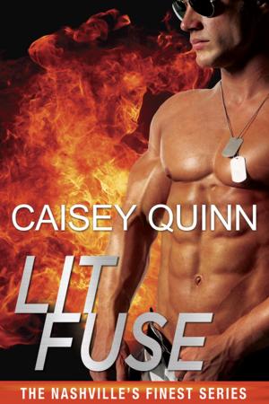 Cover of the book Lit Fuse by Shari Shattuck