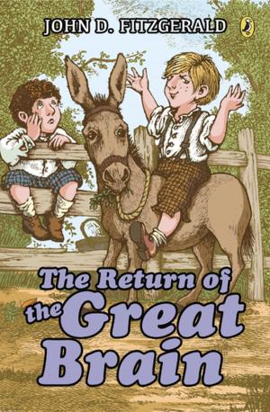 Cover of the book The Return of the Great Brain by Ariel Bernstein