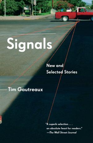 Cover of the book Signals by Julia Stuart