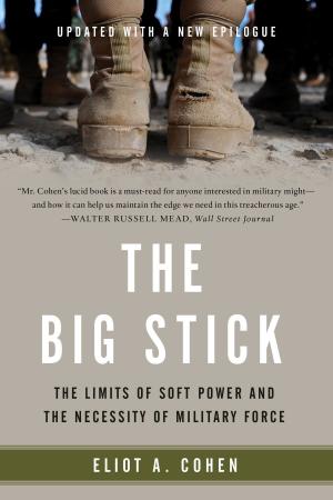 Cover of the book The Big Stick by Mandy Ingber