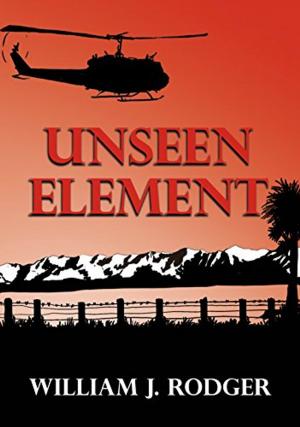 Cover of the book Unseen Element by Robert Lee Johnston