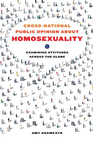 Cover of the book Cross-National Public Opinion about Homosexuality by Walter S. DeKeseredy, Molly Dragiewicz, Martin D. Schwartz