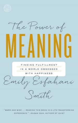 Cover of the book The Power of Meaning by Lucille Friedland, Rebekkah Dreskin