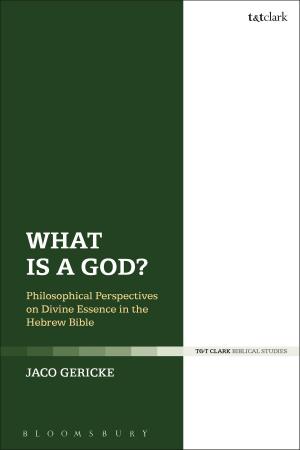 Cover of the book What is a God? by William N Hess