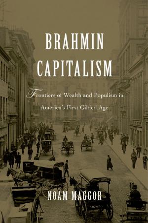 Cover of the book Brahmin Capitalism by Roger Owen