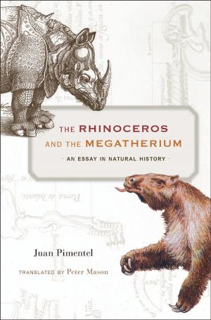 Cover of the book The Rhinoceros and the Megatherium by Kaiser Haq