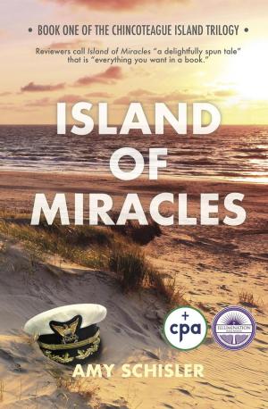 Cover of the book Island of Miracles by Brett Christensen