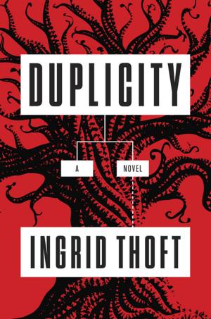 Cover of the book Duplicity by Charlotte Bailey