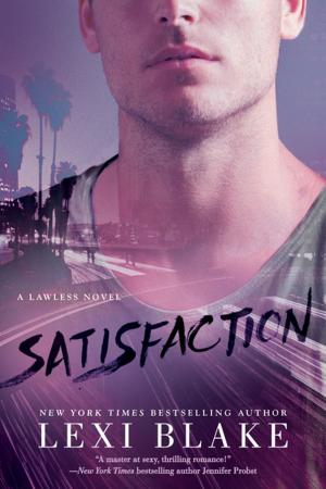 Cover of the book Satisfaction by Robin Paige