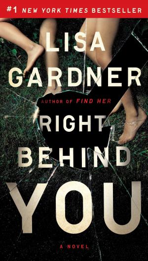 Cover of the book Right Behind You by David Lefer
